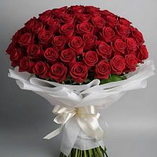 Букет 101 Красная роза Блэк Мэджик в Ширяево