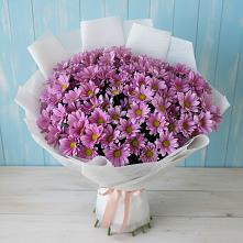 Букет цветов из:  Хризантемы в Ширяево