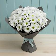 Букет цветов из:  Хризантемы #REPLACE_PRED# Ширяево