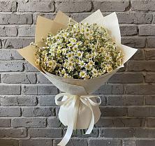 Букет цветов из:  Ромашки в Ширяево