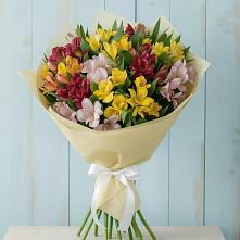 Букет цветов из:  Альстромерии в Ширяево