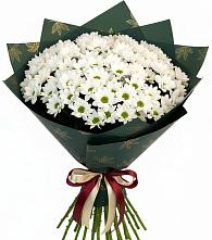 Букет цветов из:  Хризантемы в Ширяево