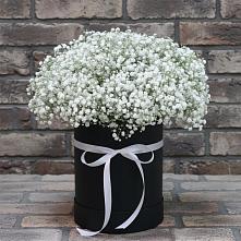 Цветочная композиция из Гипсофила в шляпной коробке в Ширяево