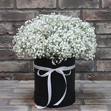 Цветочная композиция из Гипсофила в шляпной коробке в Ширяево