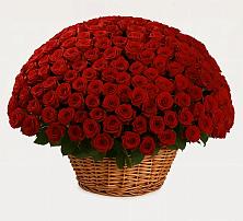 Премиум букет из: Розы в Ширяево